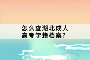 怎么查湖北成人高考學(xué)籍檔案？