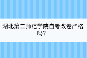 湖北第二師范學院自考改卷嚴格嗎？