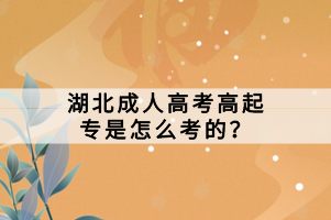 湖北成人高考高起專是怎么考的？