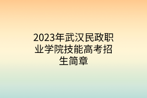 2023年武漢民政職業(yè)學(xué)院技能高考招生簡章