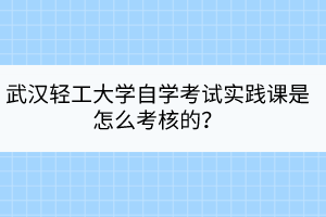 武漢輕工大學(xué)自學(xué)考試實(shí)踐課是怎么考核的？