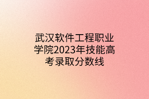 武漢軟件工程職業(yè)學(xué)院2023年技能高考錄取分?jǐn)?shù)線