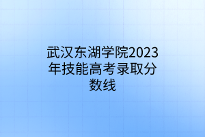 武漢東湖學(xué)院2023年技能高考錄取分?jǐn)?shù)線