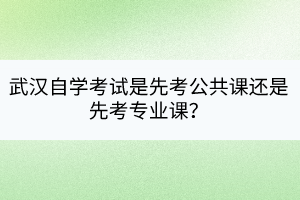 武漢自學(xué)考試是先考公共課還是先考專業(yè)課？