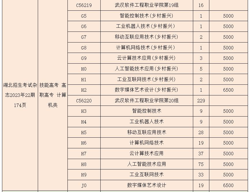 2023年武漢軟件工程職業(yè)學(xué)院湖北技能高考、藝術(shù)類、體育類志愿填報(bào)指南