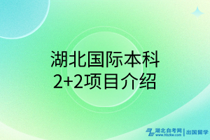 湖北國(guó)際本科2+2項(xiàng)目