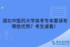 默認標題__2025-05-10+10_40_04