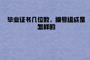 湖北工業(yè)大學(xué)成教畢業(yè)證書幾位數(shù)，編號組成是怎樣的