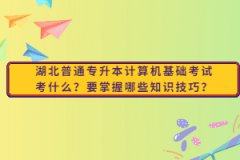 湖北普通專升本計算機基礎考試考什么？要掌握哪些知識技巧？