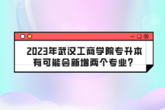 2023年武漢工商學院專升本有可能會新增兩個專業(yè)？