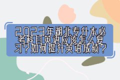 2023年湖北專升本必考科目英語應(yīng)該怎么復(fù)習(xí)？如何提升英語成績？