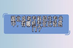 湖北成考?？普猩鷮I(yè)中，有哪些專業(yè)比較熱門？