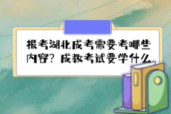 報考湖北成考需要考哪些內容？成教考試要學什么？
