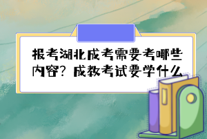 報考湖北成考需要考哪些內(nèi)容？成教考試要學什么？