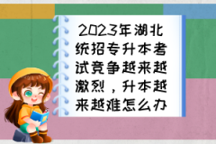2023年湖北統(tǒng)招專(zhuān)升本考試競(jìng)爭(zhēng)越來(lái)越激烈，升本越來(lái)越難怎么辦？