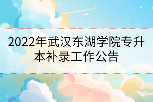 2022年武漢東湖學(xué)院專升本補錄工作公告