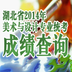 2014年湖北美術(shù)統(tǒng)考成績查詢