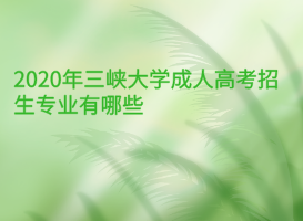 2020年三峽大學(xué)成人高考招生專業(yè)有哪些