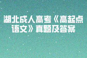 2010-2019年湖北成人高考《高起點(diǎn)語文》真題及答案