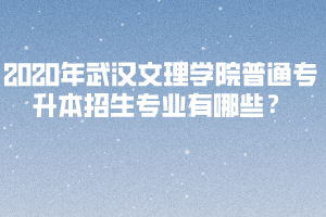 2020年武漢文理學(xué)院普通專升本招生專業(yè)有哪些