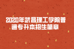 2020年武昌理工學(xué)院普通專升本招生簡(jiǎn)章 