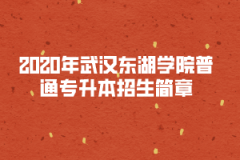 2020年武漢東湖學(xué)院普通專升本招生簡(jiǎn)章