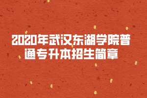 2020年武漢東湖學(xué)院普通專升本招生簡章