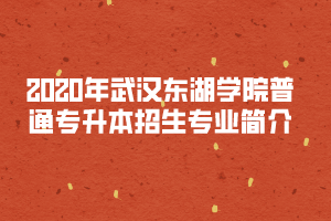 2020年武漢東湖學(xué)院普通專升本招生專業(yè)簡介