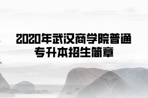 2020年武漢商學院普通專升本招生簡章