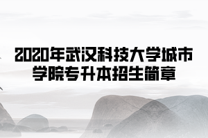 2020年武漢科技大學(xué)城市學(xué)院專升本招生簡(jiǎn)章