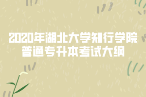 2020年湖北大學(xué)知行學(xué)院專升本商務(wù)英語(yǔ)專業(yè)考試大綱