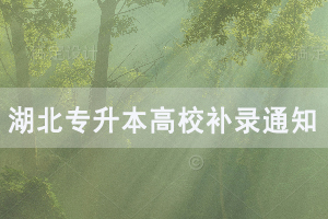 2020年武漢紡織大學外經貿學院普通專升本補錄通知