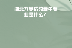 湖北大學(xué)成教最牛專業(yè)是什么？