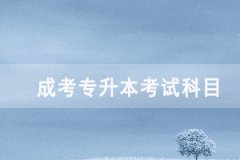 2020年武漢成人高考專升本考試科目有哪些？