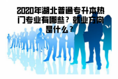 2020年湖北普通專升本熱門專業(yè)有哪些？就業(yè)方向是什么？