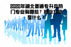 2020年湖北普通專升本熱門專業(yè)有哪些就業(yè)方向是什么