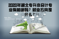 2020年湖北專升本會計專業(yè)有前途嗎？就業(yè)方向是什么？