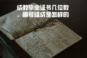 武漢理工大學(xué)成教畢業(yè)證書幾位數(shù)，編號組成是怎樣的