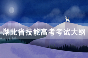 2021年湖北省技能高考計(jì)算機(jī)類考試大綱