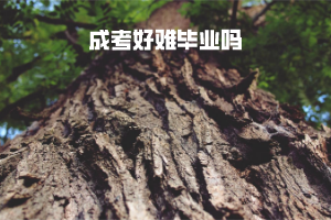 長江大學(xué)成考好難畢業(yè)嗎