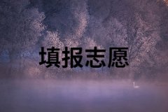 湖南成考怎樣填報(bào)志愿？報(bào)考信息填錯怎么辦？