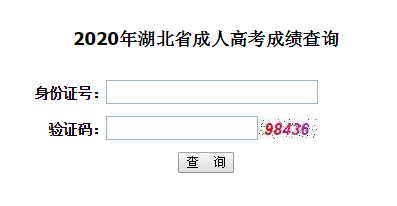 2020年湖北第二師范學院成人高考成績查詢入口