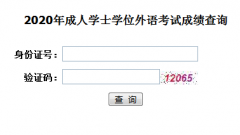 2020年湖北學位英語成績查詢入口
