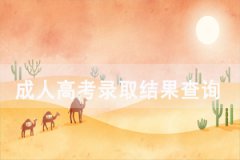 2020年湖北大學成人高考錄取結果查詢入口
