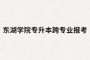 武漢東湖學(xué)院專升本跨專業(yè)報(bào)考難嗎？要考慮哪些？