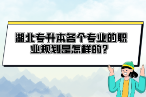 湖北專升本各個(gè)專業(yè)的職業(yè)規(guī)劃是怎樣的？