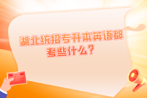 湖北統(tǒng)招專升本英語都考些什么？