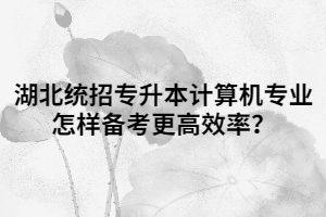 湖北統(tǒng)招專升本計算機專業(yè)怎樣備考更高效率？