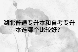 湖北普通專升本和自考專升本選哪個(gè)比較好？