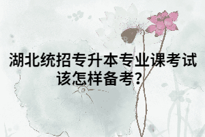 湖北專升本專業(yè)課考試該怎樣備考？